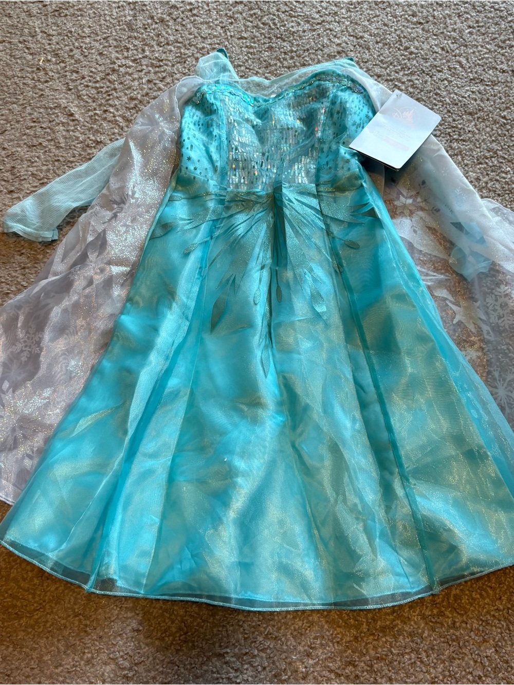 Disney store Elsa dress new size 4 world land Halloween cruise costume